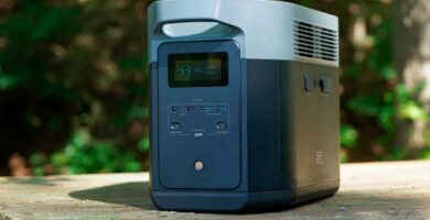 Generador Solar EcoFlow Delta 2